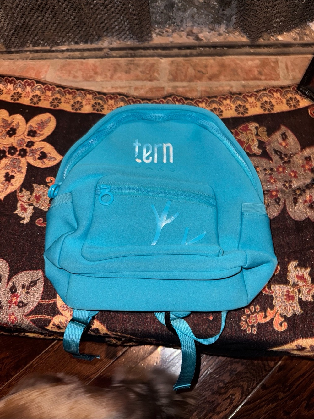Tretorn Teal Compact Backpack